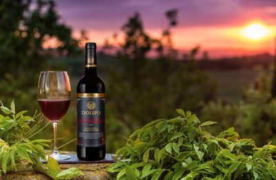 得富添普兰尼洛荣获亚洲葡萄酒质量大赛金奖