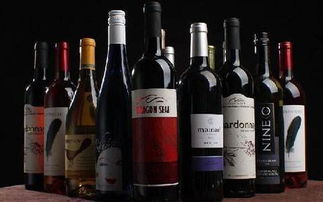 进口酒圈人士必须知道的酒类供需对接会