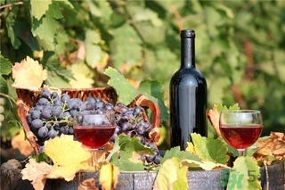 葡萄酒为什么要醒酒?葡萄酒醒酒的方法