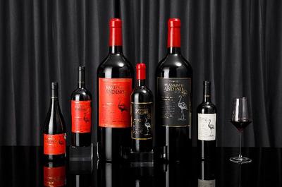 微醺之战号角已响，醉鹅娘获数千万元A轮融资，推动葡萄酒行业创新