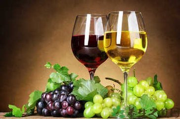 葡萄酒的魅力 探索历史、文化与品鉴艺术